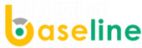 BaseLine (Бейзлайн), Проектная компания